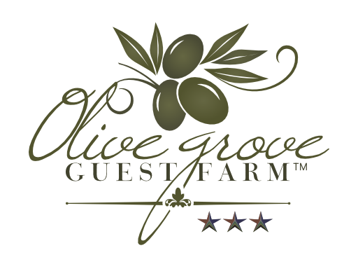 Olive Grove Logo Primary Olive Grove Logo Primary