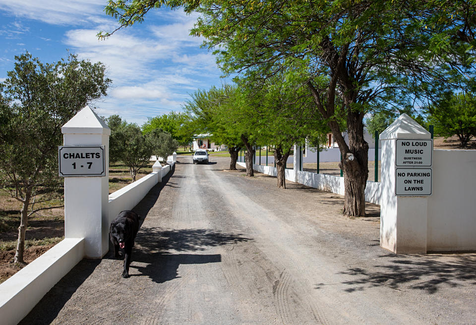 Olive Grove Beaufort West 2026 Olive Grove Beaufort West 2026